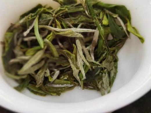 2022年春福鼎白茶荒野老枞典藏级牡丹散茶 特级花香日晒枞古生香500g 商品图2