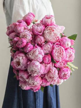 【周四秒杀】大头粉芍药花十支69.8元