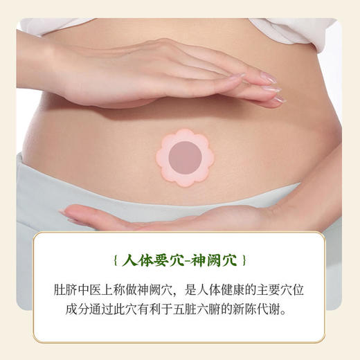 【买3发5买4发7】御恒堂秘通贴6味植物本草配方脐疗名方排宿便调理肠胃6贴/盒 商品图4