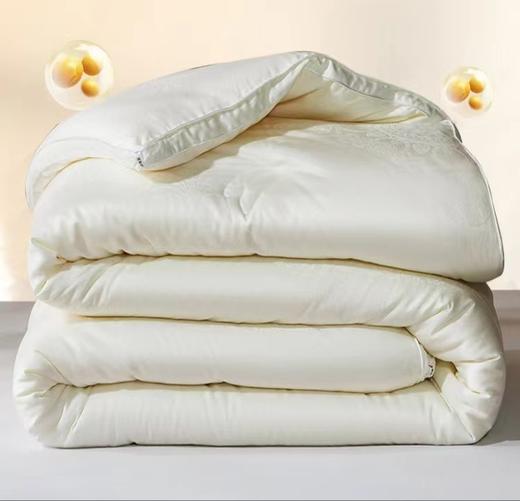 5F舒格雅提花大豆冬被 商品图0