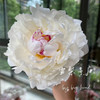 雪莉芍药花5支 商品缩略图5