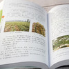 园林苗圃育苗手册 商品缩略图5