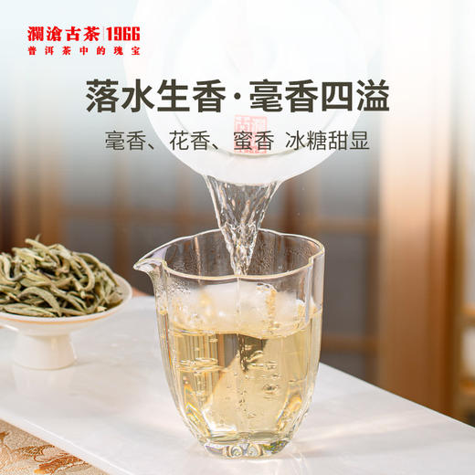 2022年澜沧古茶白玉云针铁罐版30g+月光美人 商品图2