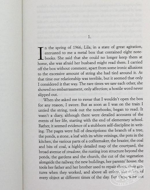 预售 【中商原版】埃莱娜 费兰特 新名字的故事 那不勒斯四部曲之二 英文原版 The Story of a New Name Elena Ferrante 商品图4