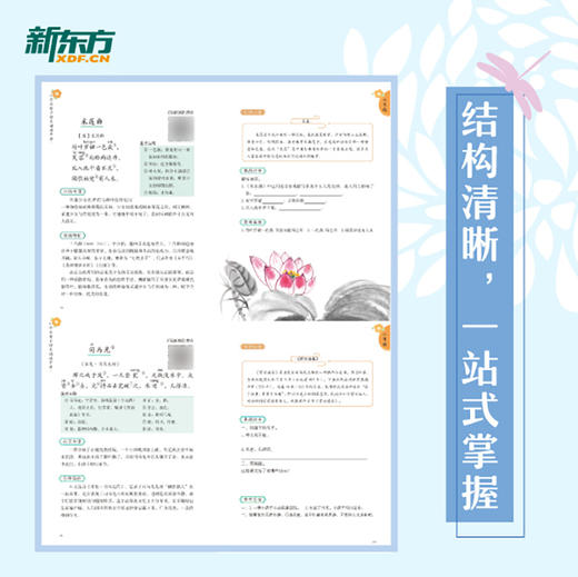 【新东方】小学必背古诗文诵读手册 小学语文教辅 一二三四五六123456年级语文古诗文 古诗文背诵 文言文 新东方小学 商品图4