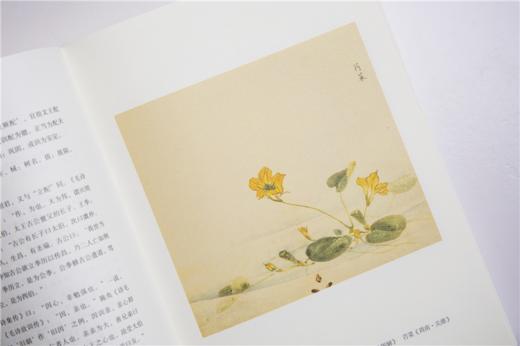 《诗经》（古义复原版2册）， 完整权威，逐字解析，轻松读懂诗经之美。 商品图5