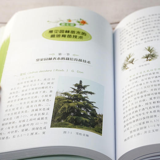 园林苗圃育苗手册 商品图3