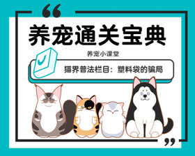 猫界普法栏目：塑料袋的骗局