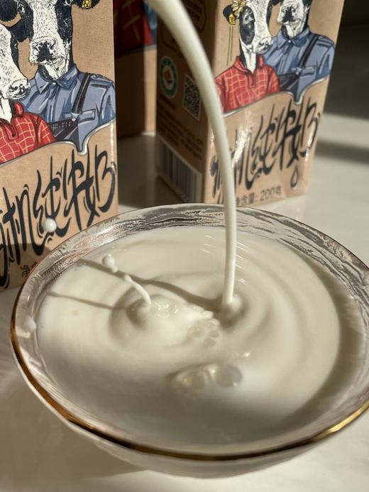 乍甸有机纯牛奶 商品图1