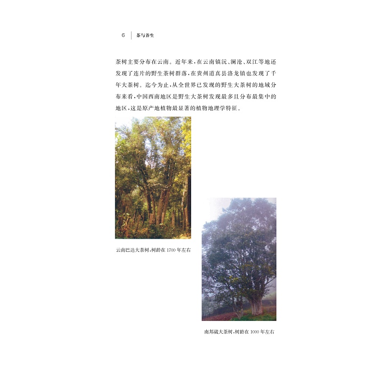 试读PDF-9787308164283(1-1)-茶与养生_015.jpg