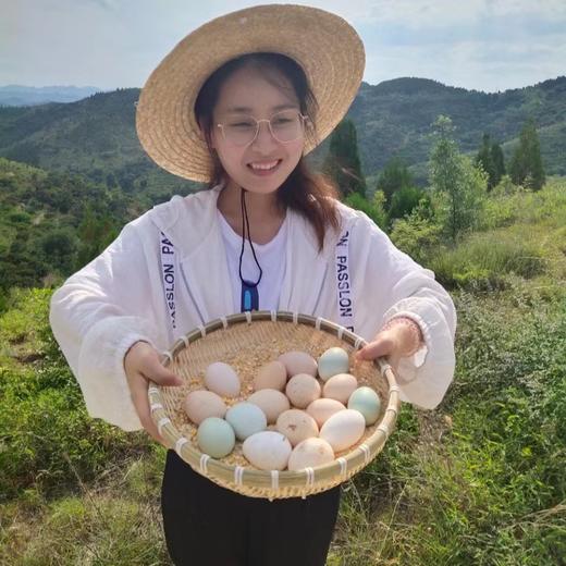 丨有机丨跑山鸡鸡蛋 散养在大山里的跑山鸡蛋  一正有机 商品图0