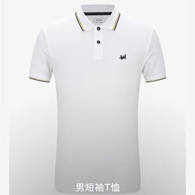 【雅戈尔】男士纯棉短袖T恤YSPC520001BFA标准版