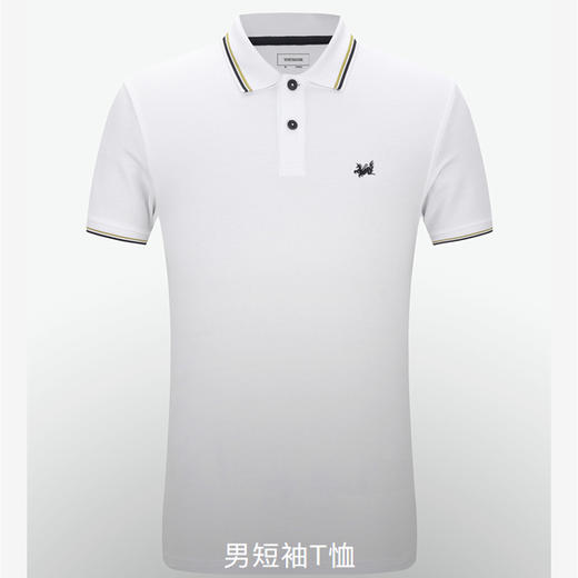 【雅戈尔】男士纯棉短袖T恤YSPC520001BFA标准版 商品图0