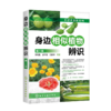 身边相似植物辨识（第二版）-分销 商品缩略图0