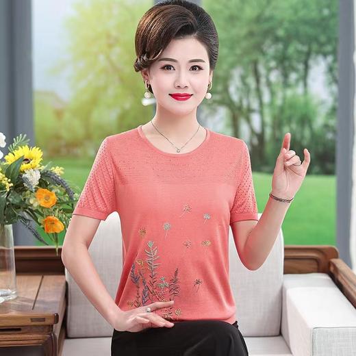 诗魅丝替610（4） 商品图0