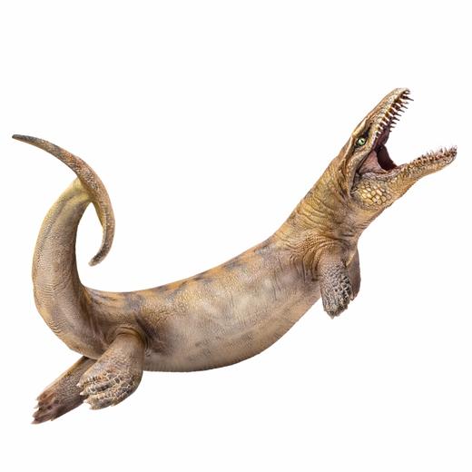 PNSO恐龙大王成长陪伴模型18达克龙波文 商品图4