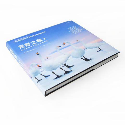 (仓发) 荒野之歌2：国际野生生物摄影年赛精选/湖南美术出版社/［英］罗莎蒙德·基德曼·考克斯（Rosamund,Kidman,Cox）/9787535692139 商品图2