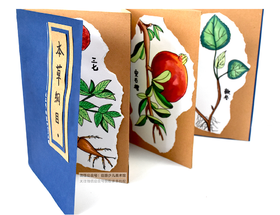 7-9岁《我画《本草纲目》》【自动发货：下单后，点击手机短信中收到的链接，即可获取文件下载的链接；如有任何问题，可添加客服微信hm33268获得帮助】