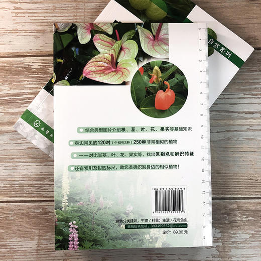 身边相似植物辨识（第二版）-分销 商品图2