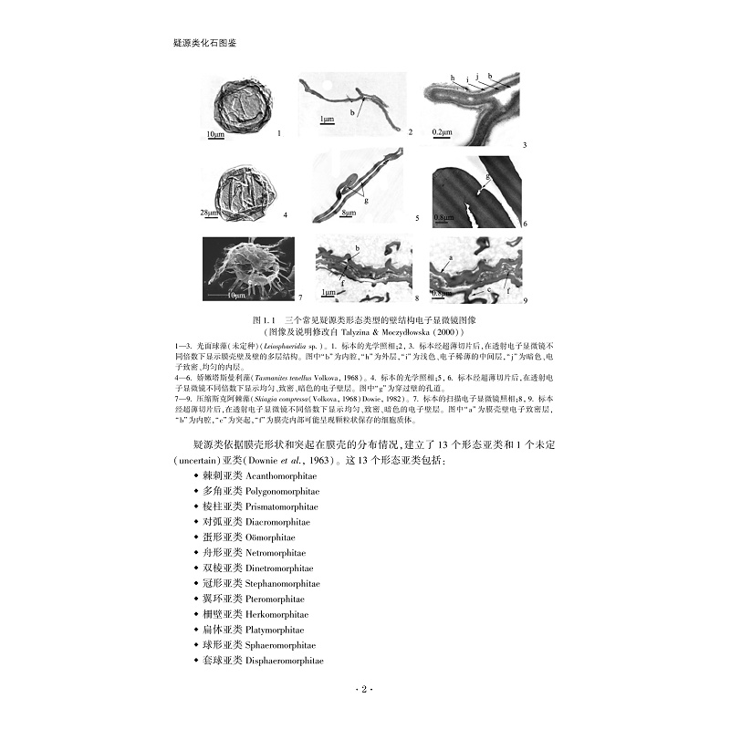 试读PDF-9787308186339(1-1)-疑源类化石图鉴_007.jpg