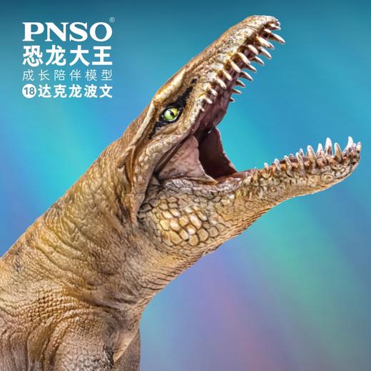 PNSO恐龙大王成长陪伴模型18达克龙波文 商品图0