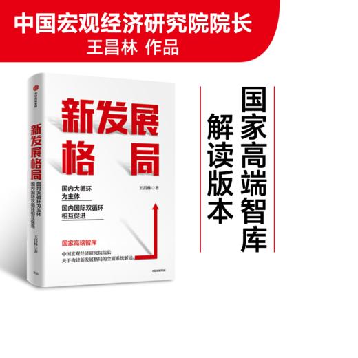 【套装4册】论中国经济+新发展格局+读懂十四五+双循环 套装4册 刘世锦王昌林樊纲林毅夫等著 国内大循环 解读中国经济 正版包邮 商品图3