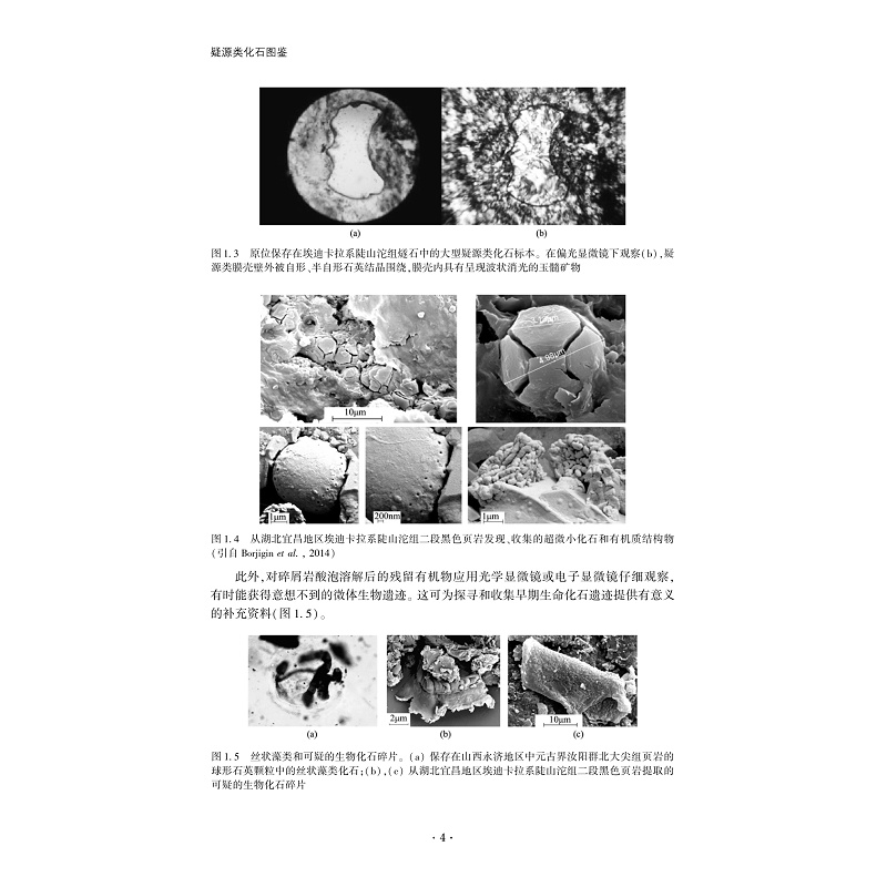 试读PDF-9787308186339(1-1)-疑源类化石图鉴_009.jpg