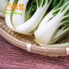 东升农场 供港奶白菜 青菜 白菜 广州蔬菜新鲜配送 300g 商品缩略图3