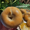 Bagel贝果面包-----咖喱鸡肉（无敌好吃） 商品缩略图5