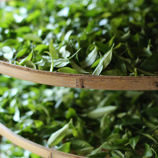 2022漳平水仙（春） | 非遗传人与茶王亲制，如兰似桂，香气绵长 商品图6