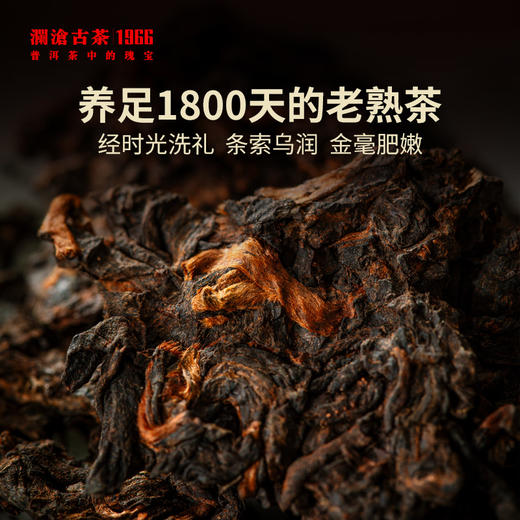 澜沧古茶5年陈古木香云南老茶品鉴装盒装8g（每个ID限购一份，超出恢复零售价） 商品图3