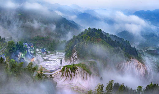 07.21确定出发【湖南】“梯田王国”紫鹊界风光摄影4天之旅 商品图6