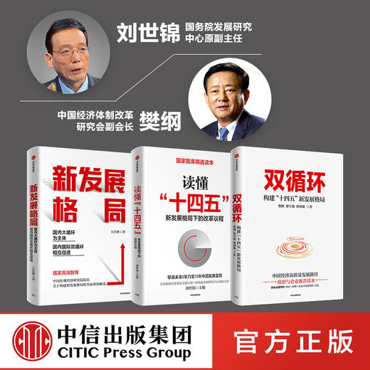现货正版包邮 读懂十四五+双循环+新发展格局 套装3册 刘世锦 樊纲 王昌林 国内大循环国家智库 经济理论 商品图3