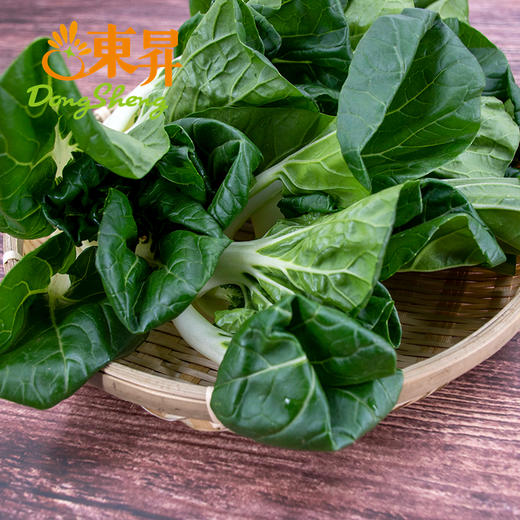 东升农场 供港奶白菜 青菜 白菜 广州蔬菜新鲜配送 300g 商品图4