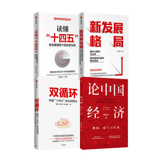 【套装4册】论中国经济+新发展格局+读懂十四五+双循环 套装4册 刘世锦王昌林樊纲林毅夫等著 国内大循环 解读中国经济 正版包邮 商品图0