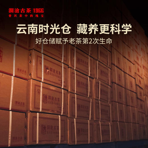 澜沧古茶5年陈古木香云南老茶品鉴装盒装8g（每个ID限购一份，超出恢复零售价） 商品图2