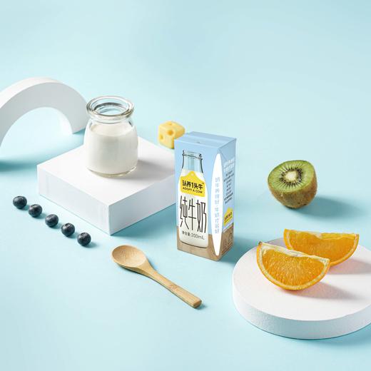 【团长限时活动】认养一头牛全脂纯牛奶 200ml*10盒*3箱 商品图4