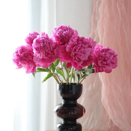 【红富士重瓣芍药】5支/份  第二份减10元 商品图0