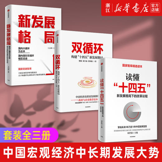 现货正版包邮 读懂十四五+双循环+新发展格局 套装3册 刘世锦 樊纲 王昌林 国内大循环国家智库 经济理论 商品图0