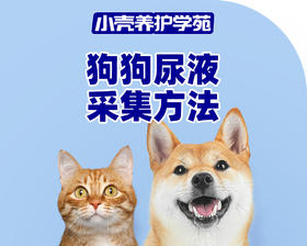 【小先知】狗狗尿液采集方法