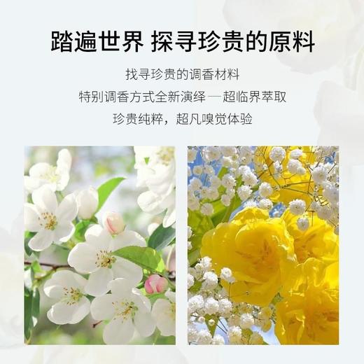 【小红书同款】FANCYNEE森林奶油醉心香柠果香香水清新香氛持久留香 商品图2