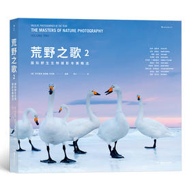 (仓发) 荒野之歌2：国际野生生物摄影年赛精选/湖南美术出版社/［英］罗莎蒙德·基德曼·考克斯（Rosamund,Kidman,Cox）/9787535692139