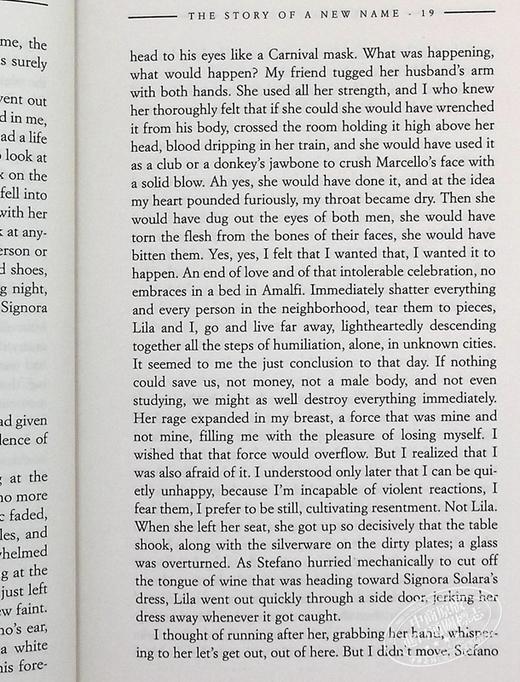 预售 【中商原版】埃莱娜 费兰特 新名字的故事 那不勒斯四部曲之二 英文原版 The Story of a New Name Elena Ferrante 商品图6