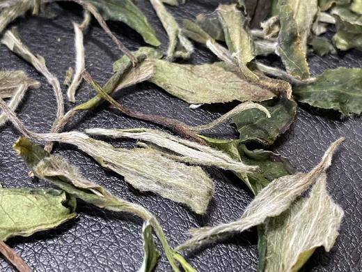 22春石坑涧·基地牡丹（生态种植·直面茶） 商品图4