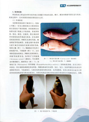 水生动物病理学诊断技术 商品图4