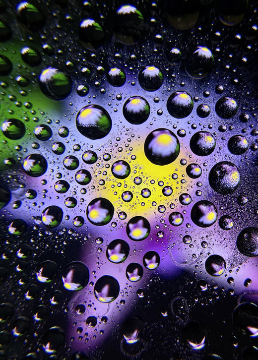 8.20【手机微距·水滴生花】夏日创意手机摄影课 商品图12