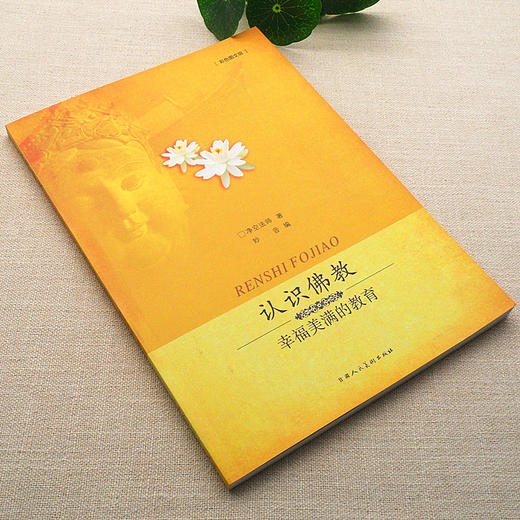 认识佛教 商品图0