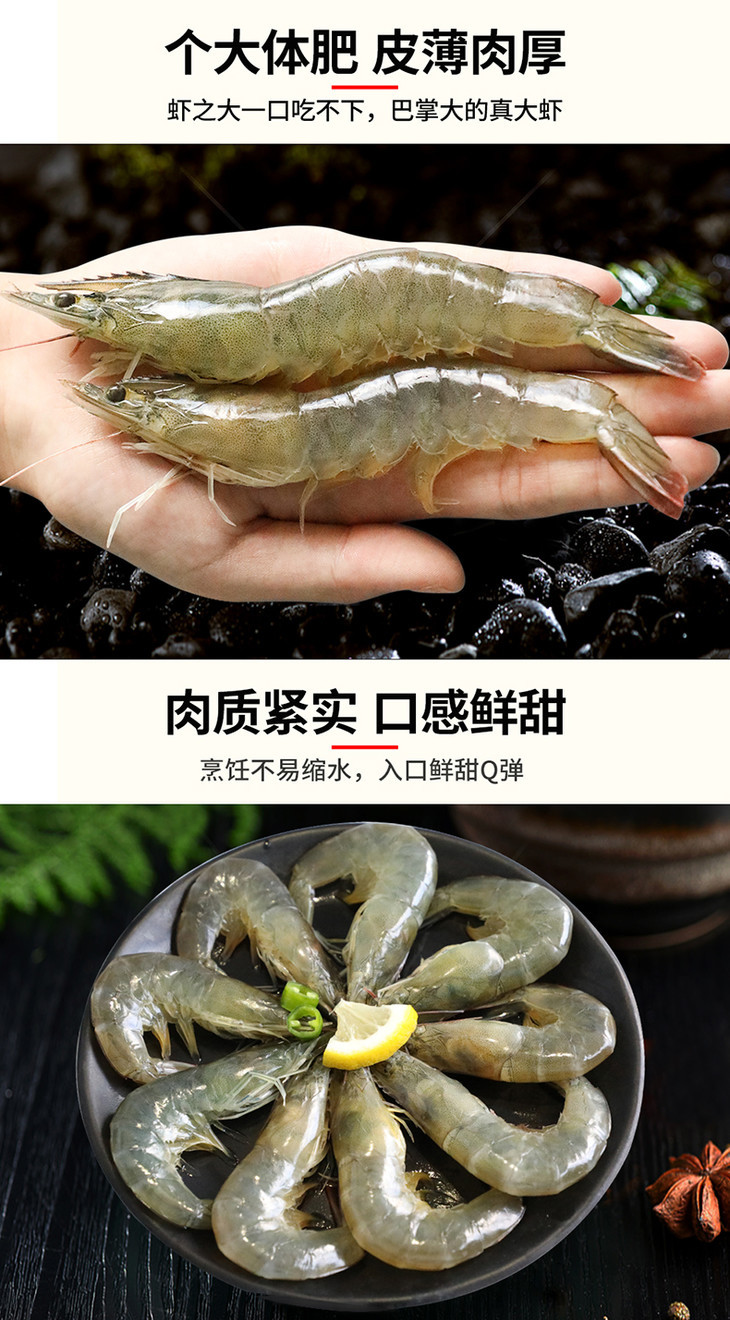 白虾详情_03.jpg
