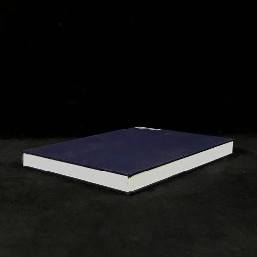 两种文化之间：十九世纪晚期与二十世纪中国绘画 数百幅插图 精装大16开 商品图1