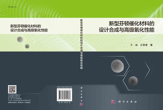 新型芬顿催化材料的设计合成与高级氧化性能/于岩 庄赞勇 商品图2